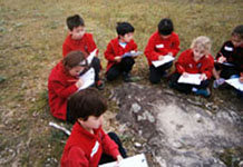 Sketching grinding grooves in a 1/2 excursion.